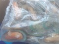 Vẹm Xanh Newzealand cao cấp