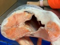 Cá hồi đông lạnh nguyên con bỏ đầu