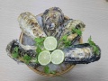 Hàu Hyogo Nhật Bản Chuẩn Sashimi giá tốt