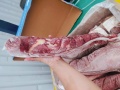 Thăn nội Tenderloin bò úc 