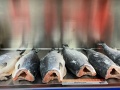 Cá hồi đông lạnh nguyên con bỏ đầu