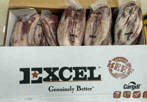Bắp Bò digital excel cnd nm93