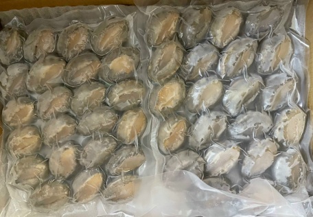 Bào ngư size 20/25 