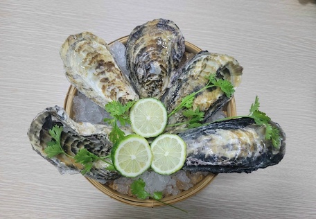 Hàu Hyogo Nhật Bản Chuẩn Sashimi giá tốt