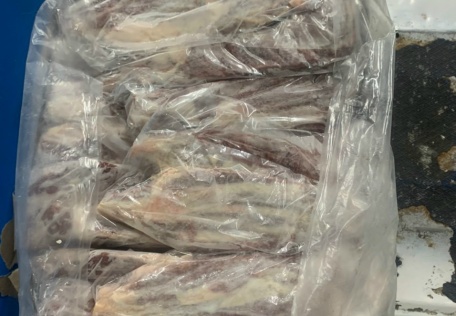 BẮP HOA BÒ ÚC AMH BÒ NON S