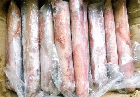 Mực Ống Loại 1