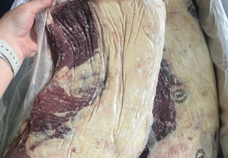 Gàu bò úc S Ralp 